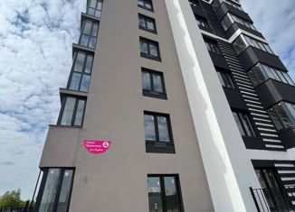 Продаю 1-комнатную квартиру, 28 м2, посёлок Петелино, Медовая улица, 4