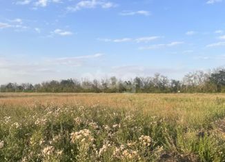 Продается участок, 3.1 сот., хутор Красный Крым, Родионовская улица