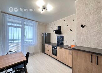 1-ком. квартира в аренду, 34 м2, Санкт-Петербург, проспект Александровской Фермы, 8, муниципальный округ Обуховский