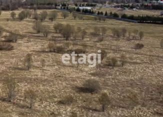 Земельный участок на продажу, 600 сот., деревня Ляды, деревня Ляды, 39