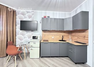 Сдается в аренду квартира студия, 26 м2, Санкт-Петербург, улица Маршала Захарова, 8, ЖК Огни Залива