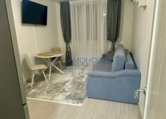 Продам 1-комнатную квартиру, 38.6 м2, деревня Анкудиновка, Черкесская улица, 2