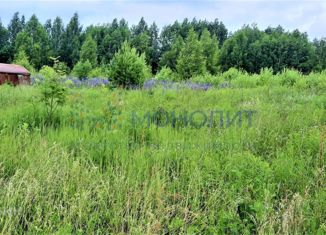 Продам участок, 15 сот., деревня Борисовка, Луговая улица, 12