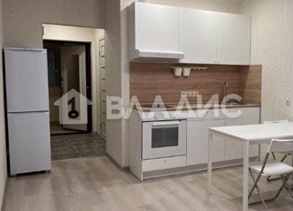 Продам квартиру студию, 25 м2, Мурино, проспект Авиаторов Балтики, 3к1, ЖК Девятый вал