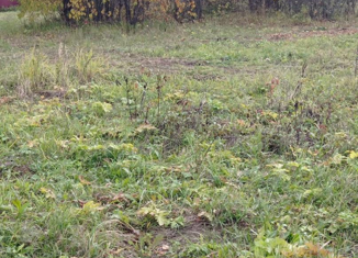 Продам земельный участок, 3.5 сот., деревня Теряево 2-е