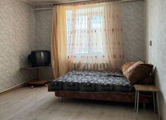 Продам 1-ком. квартиру, 26.3 м2, село Кушнаренково, Большевистская улица, 4А