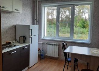 Сдается в аренду 2-ком. квартира, 50 м2, Вологда, Молодёжная улица, 20, Можайский микрорайон