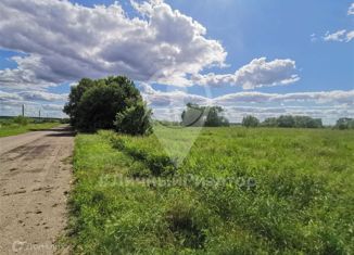Продается участок, 30 сот., деревня Ново-Николаевка