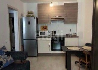 Продам 1-комнатную квартиру, 30.9 м2, посёлок Мичуринский, Широкореченская улица, 45