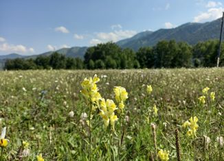 Участок на продажу, 24 сот., село Аюла, Центральная улица, 35