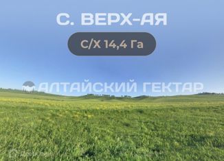 Продаю земельный участок, 1449 сот., село Верх-Ая