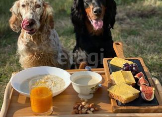 Продаю дом, 250 м2, село Ленинское, дачное некоммерческое товарищество Русское Поле, 208