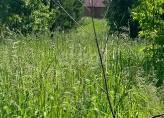 Продам земельный участок, 11 сот., село Сростки, Пионерская улица