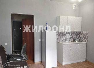 Продаю квартиру студию, 19.3 м2, Новосибирск, улица Одоевского, 1/9, Первомайский район