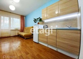 Квартира на продажу студия, 26 м2, Санкт-Петербург, Новосельковская улица, 3, Новосельковская улица