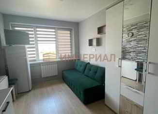 Продам квартиру студию, 15.4 м2, Москва, Рязанский проспект, 86/1с3, метро Выхино