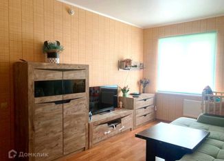 Продается 1-ком. квартира, 40 м2, деревня Кривское, Центральная улица, 63