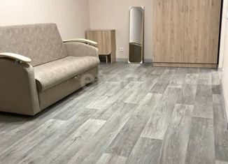 Продам 1-ком. квартиру, 30.8 м2, Казань, ЖК Светлая Долина, улица Натана Рахлина, 15к1