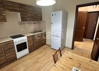 Сдается 1-ком. квартира, 36 м2, деревня Анкудиновка, Русская улица, 4