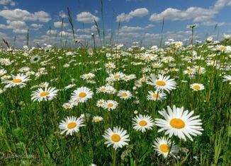 Продается земельный участок, 10 сот., деревня Филатова Гора