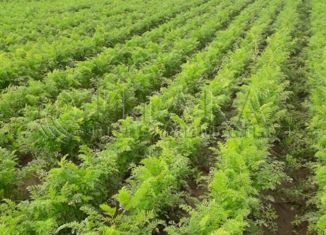 Продается земельный участок, 800 сот., деревня Любятово