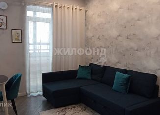 Продается трехкомнатная квартира, 64.8 м2, Новосибирск, Ипподромская улица, 50, метро Гагаринская