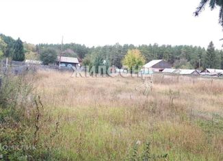 Продается земельный участок, 15 сот., поселок Лесниковский