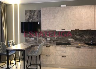 Сдаю в аренду квартиру студию, 29 м2, Москва, Мосфильмовская улица, 98к2, район Раменки