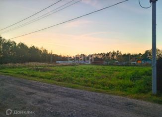 Продам участок, 10 сот., СНТ Сосновый Бор