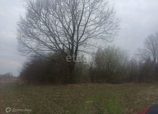 Продам земельный участок, 15 сот., деревня Петрово