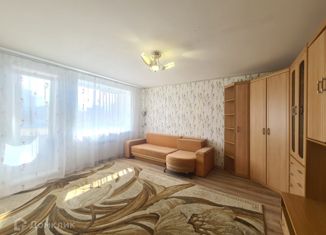 Аренда двухкомнатной квартиры, 50 м2, Санкт-Петербург, проспект Наставников, 42
