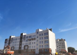 Продажа двухкомнатной квартиры, 56.3 м2, деревня Ветошниково, улица Ивана Спатара, 6