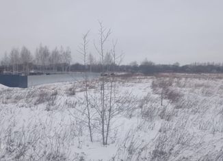 Продам земельный участок, 20 сот., село Житово