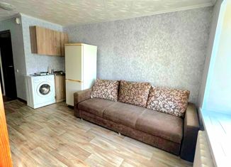 Квартира в аренду студия, 17.6 м2, Екатеринбург, Педагогическая улица, 8, Педагогическая улица