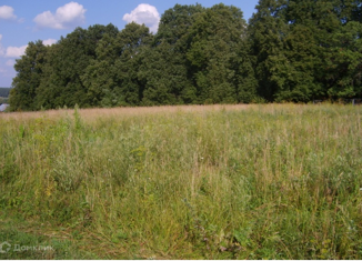 Продажа земельного участка, 12 сот., деревня Акатово