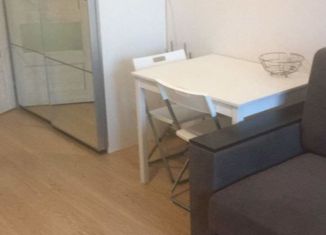 Сдам квартиру студию, 25 м2, деревня Кудрово, Столичная улица, 4к3