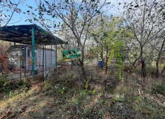 Продается земельный участок, 5 сот., СНТ Лазурный, 20-я линия