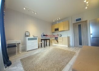 Сдается квартира студия, 27 м2, Санкт-Петербург, Республиканская улица, 24к1, метро Новочеркасская