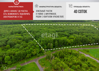 Продается земельный участок, 40 сот., село Мичуринское, Центральная улица