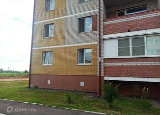 Продаю 1-комнатную квартиру, 23 м2, деревня Хохряки, Муромская улица, 4