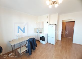 Сдается квартира студия, 27 м2, Мурино, проспект Авиаторов Балтики, 7, ЖК Виктория