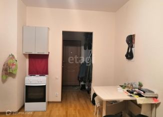 Продается квартира студия, 22.8 м2, поселок городского типа Разумное, Преображенская улица, 6