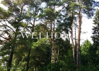 Продам земельный участок, 12 сот., деревня Жуковка, деревня Жуковка, 183