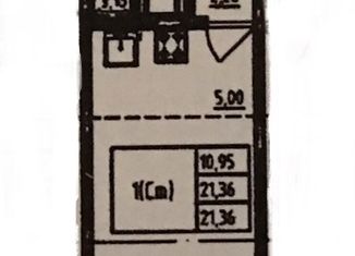 Продажа квартиры студии, 21.1 м2, Санкт-Петербург, Муринская дорога, 27к2, муниципальный округ Полюстрово