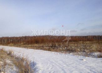 Продается участок, 10 сот., посёлок Плодопитомник