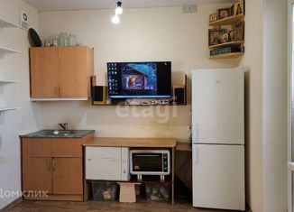 Квартира на продажу студия, 26.1 м2, Челябинск, улица Александра Шмакова, 17, Курчатовский район