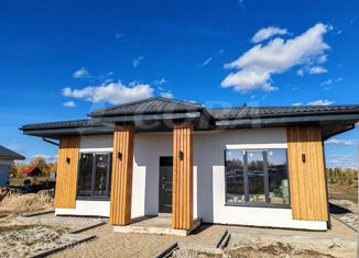 Дом на продажу, 125 м2, село Каменка, улица Дружбы, 9
