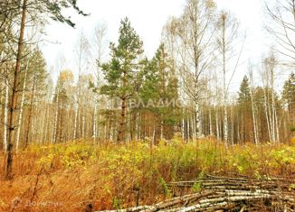 Продажа участка, 50 сот., село Палашкино