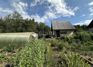 Продажа дома, 19.7 м2, СДТ Рябинушка