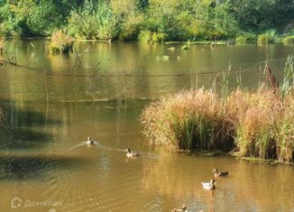 Продажа земельного участка, 10 сот., деревня Кочетовка, Лесная улица